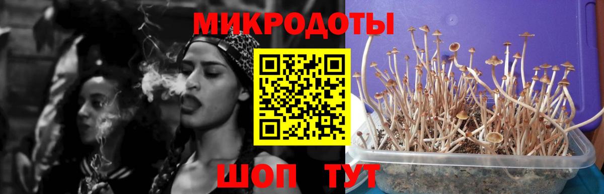 Галлюциногенные грибы прущие грибы Тейково